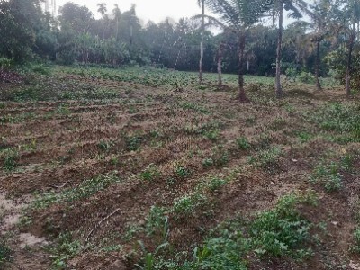 Land photo 2