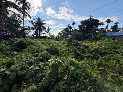 Land photo 2