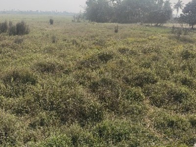 Land photo 2