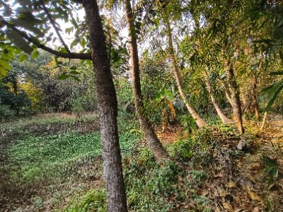 Land photo 2
