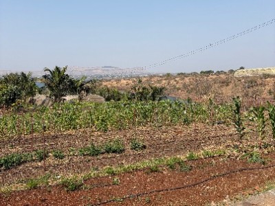 Land photo 2