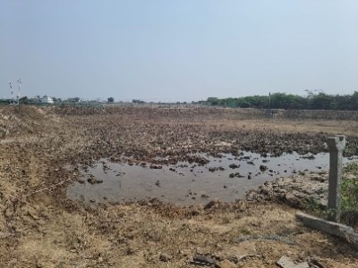 Land photo 2