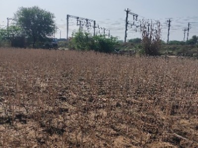 Land photo 2