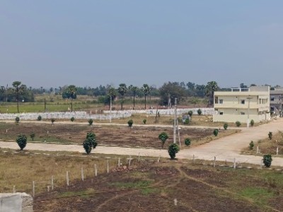 Land photo 3