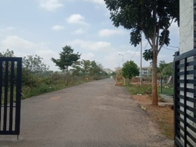 Land photo 2