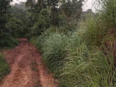 Land photo 2
