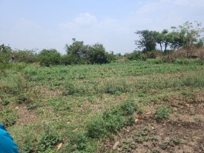 Land photo 2