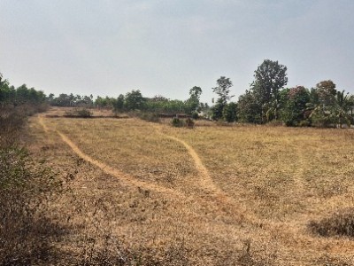 Land photo 2