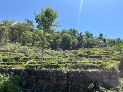 Land photo 3