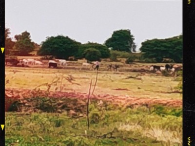 Land photo 2