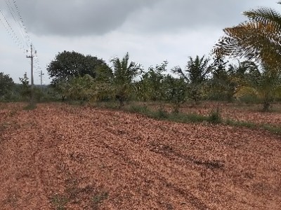 Land photo 2