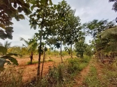Land photo 3