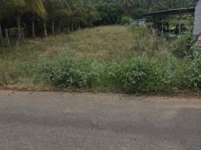 Land photo 2