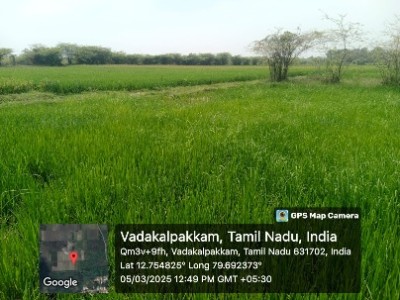Land photo 2