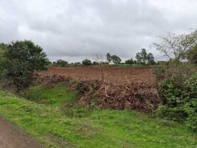 Land photo 3