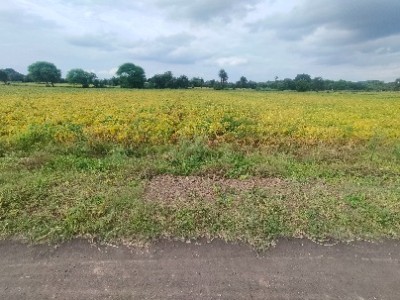 Land photo 2