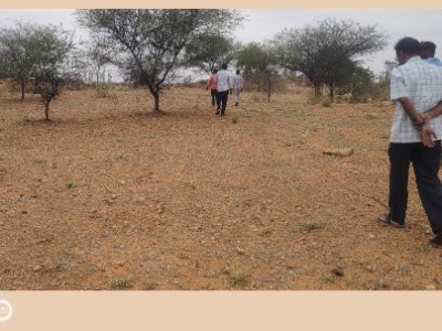 Land photo 2