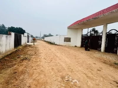 Land photo 3