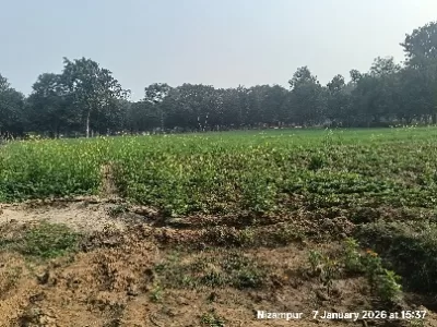 Land photo 3