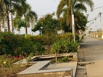 Land photo 2