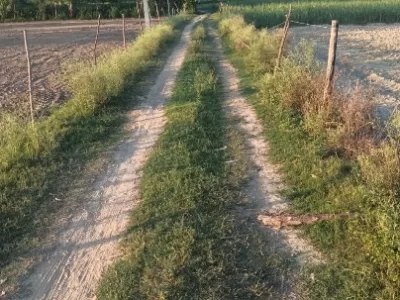 Land photo 3