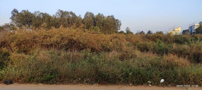 Land photo 2